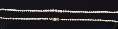 null Collier composé d'un rang de perles fines d'environ 2,5 à 4,2 mm; le fermoir...