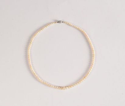 null Collier composé d'un rang de perles fines d'environ 2,2 à 6,2 mm, le fermoir...