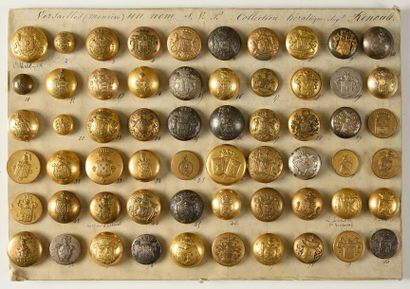 null Planche de 60 boutons de livrées dorés et argentés
Collection Renoult...