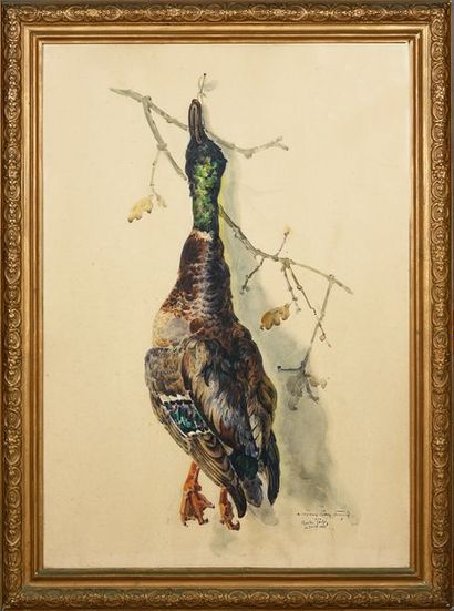 Charles TOCHES Nature morte au canard
Aquarelle, signée enbas à droite et daté 1899.
82...