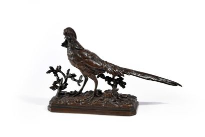 Henri Emile Adrien TRODOUX (XIXe siècle) Le faisan chinois.
Bronze à patine brune,...