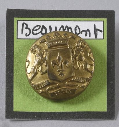 null BONNIN de LA BONNINIERE de BEAUMONT

½ curved, gold plated, pt sinking. Bodard/Perrin...