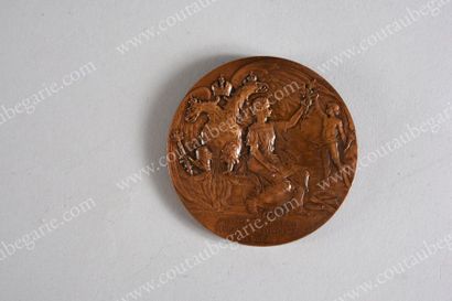 null MÉDAILLE COMMÉMORATIVE EN BRONZE.
Ornée sur une face des profils de l'empereur...