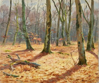 Georges Frédéric ROTIG (1873-1961) View of the undergrowth. Oil on canvas. Signed...