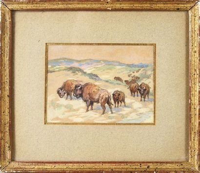 Georges Frédéric ROTIG (1873-1961) Troupeau de bisons. Aquarelle et encre de Chine....