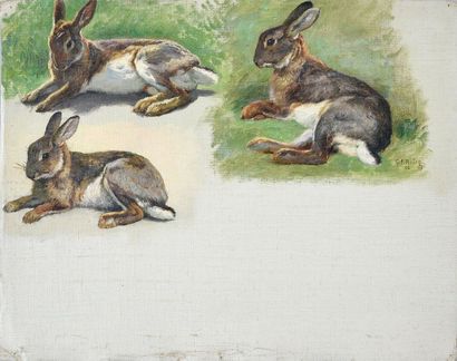 Georges Frédéric ROTIG (1873-1961) Rabbit study. Oil on canvas. Signed and dated...
