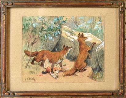 Georges Frédéric ROTIG (1873-1961) Couple de renards au faisan. Aquarelle gouachée,...