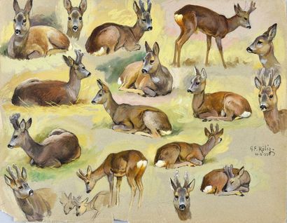 Georges Frédéric ROTIG (1873-1961) Deer study. Gouache. Signed and dated 20-2-33...