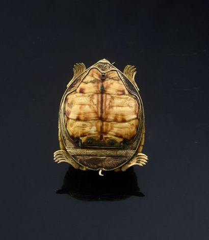 null Rare tabatière réalisée dans une carapace de tortue étoilée d'Inde (Geochelone...