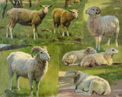 Georges Frédéric ROTIG (1873-1961) Etude de moutons. Huile sur toile. Signée et datée...