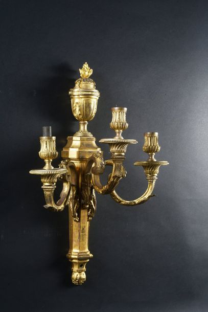 null Large pair of chased and gilded bronze wall lights, the plate with a grained...
