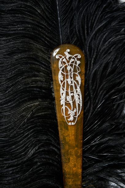 Diamonds, circa 1890 Black ostrich feather...