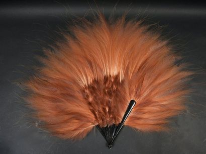 null Paradise feathers, circa 1920Wide fan made of natural bird feathers of Papua...