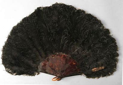 null Madame la vicomtesse, vers 1880-1900
Eventail en plumes d'autruches noires frisées.Monture...