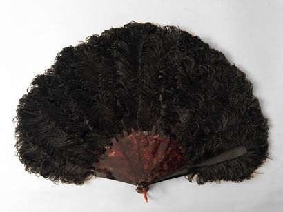 null Madame la vicomtesse, vers 1880-1900
Eventail en plumes d'autruches noires frisées.Monture...