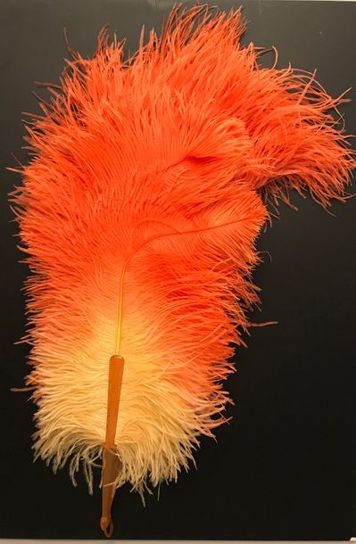 null Tequila sunrise, around 1920
Fan made of ostrich feathers dyed in shades, from...