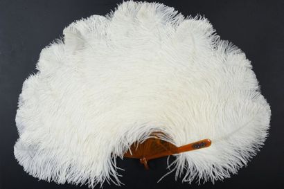 null Whiteness, around 1900
Fan made of white ostrich feathers. Blonde tortoise shell...