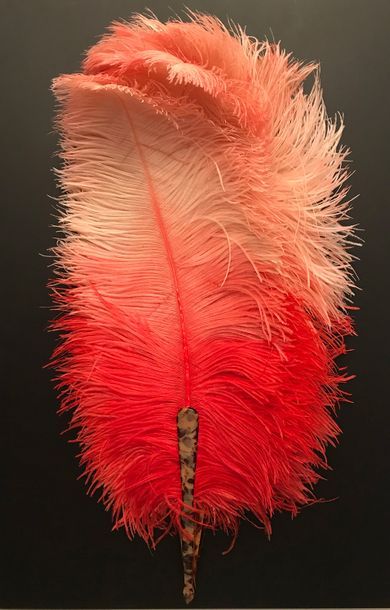 null Sorbet, vers 1900-1920
Grand éventail en plumes d'autruches teintées en dégradé...