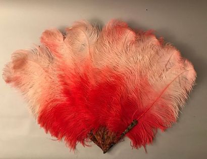 null Sorbet, around 1900-1920
Large fan made of ostrich feathers tinted in pink shades....