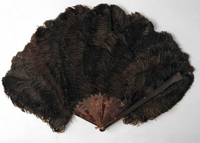null 
Burr effect, circa 1900
Wide range of black ostrich feathers.Brown flake mount...