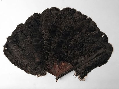 null 
Burr effect, circa 1900
Wide range of black ostrich feathers.Brown flake mount...