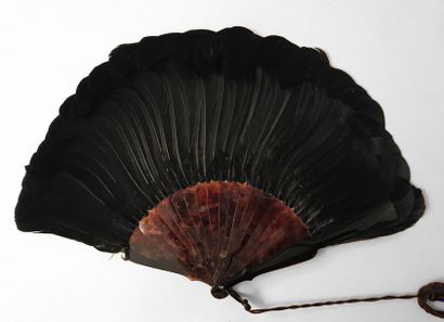 null Lyra grouse feathers, around 1900
Small hunting fan composed of black heather...