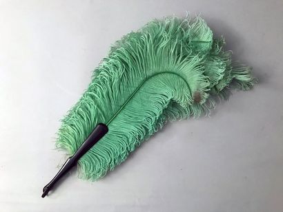 null Green crosiers, circa 1900-1920
Fan made of ostrich feathers tinted green. Synthetic...