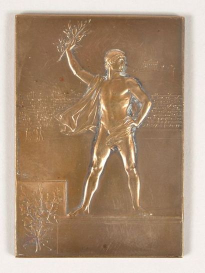 null Bronze plaque "Sports-Leisure". Physical education provided by the Under-Secretary...