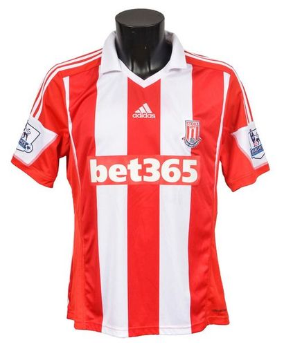 null Steven Nzonzi. Stoke City jersey no. 15 worn during the 2012-2013 season of...