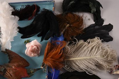 null Boite de plumes à chapeau, vers 1900, plumes d’autruche et coq, un oiseau monté...