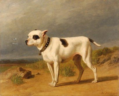 Edouard TSCHAGGENY Chien terrier. Huile sur panneau d'acajou S.B.D. daté 1870. (Restauration...
