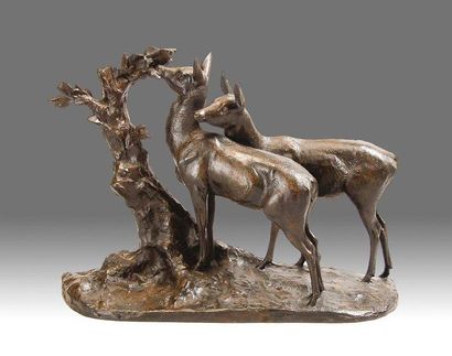 Maximilien Louis FIOT (1883-1953) Deux biches au pied d'un arbre Bronze à patine...