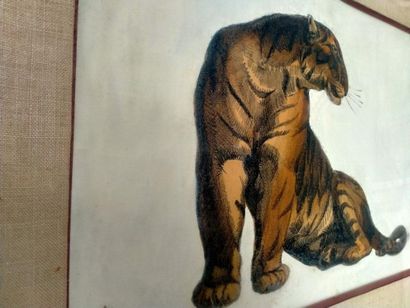 null GUYOT, Etude d'un tigre, technique mixte, Signé en bas à gauche, XXe, 30 x ...