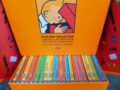 null Coffret Tintin Edition spéciale 21 DVD