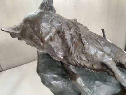 null T. CARTIER, "la mort du loup" Bronze with brown patina signed. dated "salon...