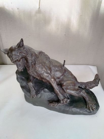 null T. CARTIER, "la mort du loup" Bronze with brown patina signed. dated "salon...