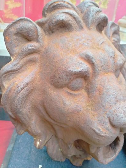 null Figure of fountain, Head of lion in cast iron, (H :40cm)