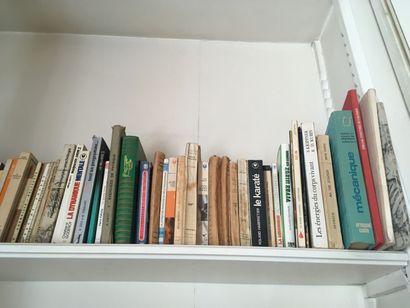  PALETTE de 36 cartons de livres divers romans, polars, voyages, Agatha Christie,...