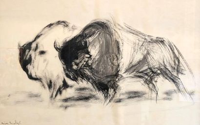null Mick MICHEYL (1922)
Les bisons
Encre et lavis d'encre signé en bas à gauche.
40...