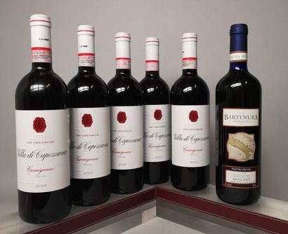 null 6 bouteilles VINS ITALIENS Millesime 2008 


5 bouteilles CARMIGNANO - Villa...