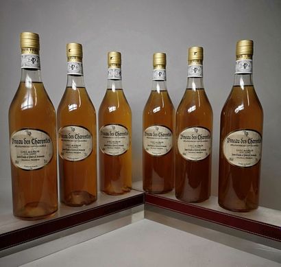 null 6 bouteilles PINEAU DE CHARANTES - Domaine BOISSEAU 