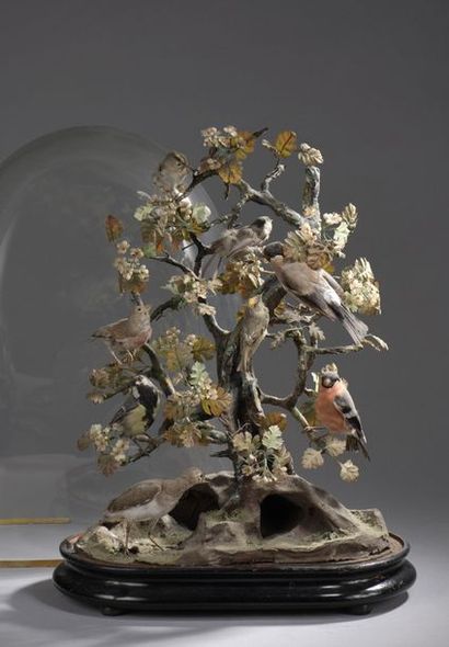 null Diorama avec six oiseaux naturalisés sur un arbre simulé. 


Avec un globe accidenté.


Fin...