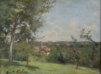 null Gustave COLIN (1828-1910)


Le clocher de Saint-Jean de Luz, vu du jardin de...