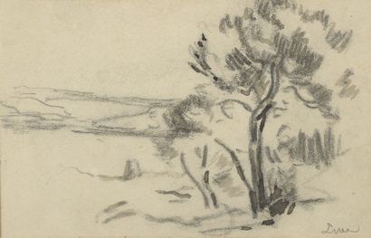 null Maximilian LUCE (1858-1941)


Pines by the sea


Pencil.


Signed lower right.


12...