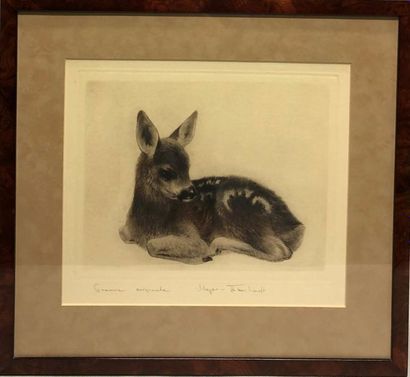 null Kurt MEYER EBERHARDT (1895 – 1977) 
Six gravures : chiens, chats, tête de cerf,...