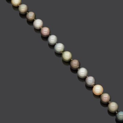 null Collier de perles de culture en choker composé de 44 perles de couleurs variées...