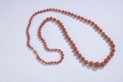 null 
Necklace of coral beads, mounted on falling wire, 14k yellow gold clasp, 585‰.


D....