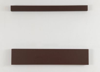 Ricardo FERNANDEZ (1947-2006) 

Brown Diptych, 1993


Acrylic on canvas marouflaged...