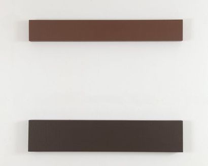 Ricardo FERNANDEZ (1947-2006) 

Diptych brown, 1992


Acrylic on canvas marouflaged...