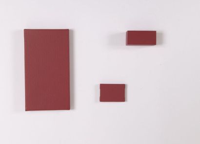 Ricardo FERNANDEZ (1947-2006) 

Untitled, 2006


Random installation of three elements....